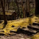 what is the ultimate gatlinburg travel guide?