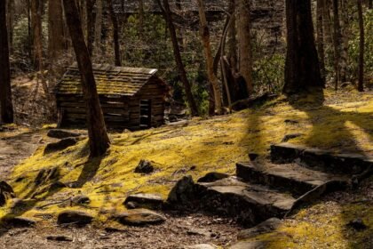 what is the ultimate gatlinburg travel guide?