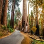 national park reservation system how it works