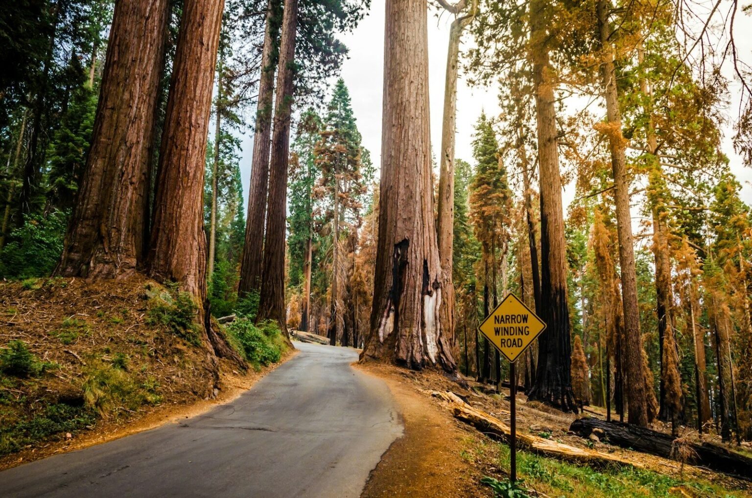 national park reservation system how it works