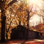 mn state park reservations