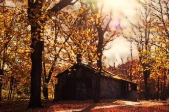 mn state park reservations
