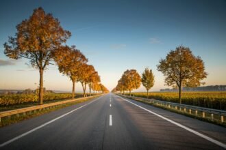 Las Vegas to Grand Canyon Road Trip