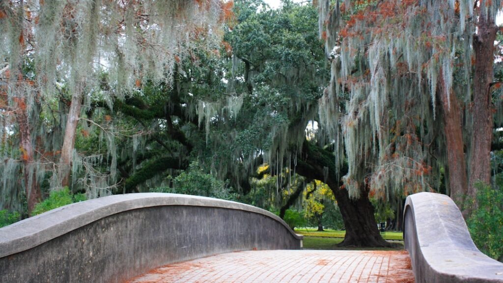 a stone bridge with moss hanging from the trees