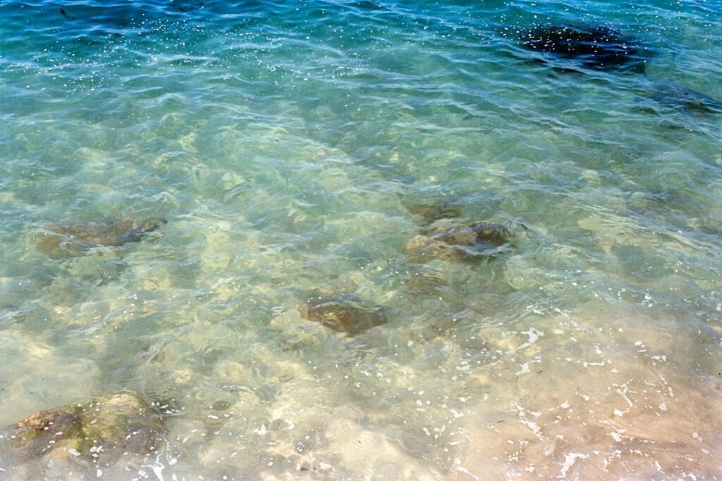 Clear ocean water with coral reefs visible below