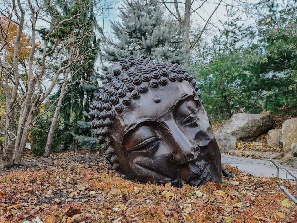 a statue of a buddha head surrounded by leaves