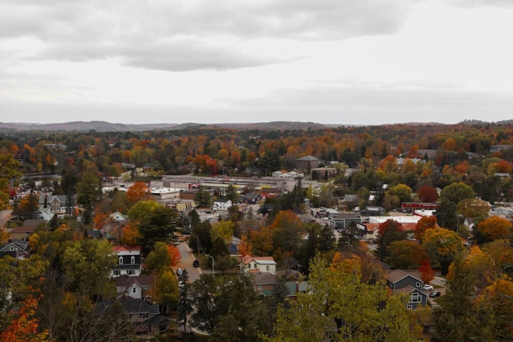 aerial view of city during daytime