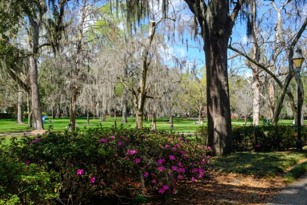 Flowering bushes and moss-draped trees in a park