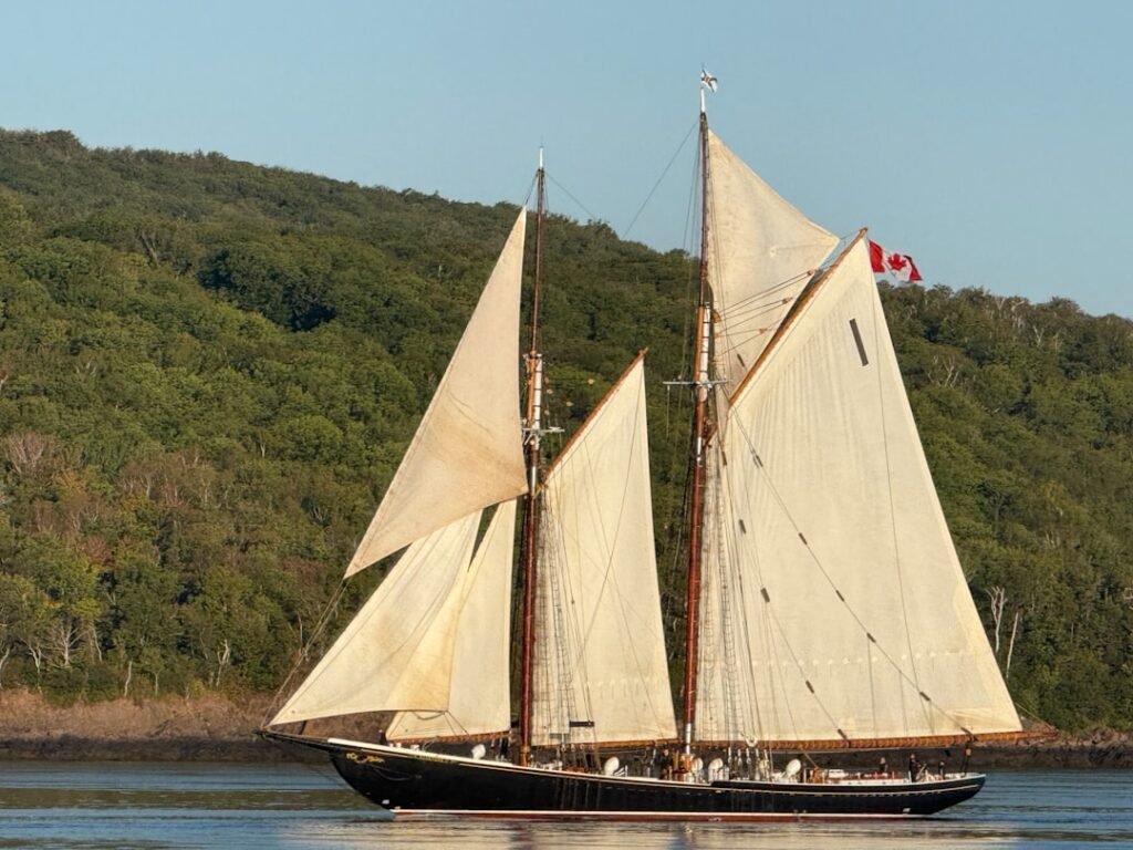 A schooner sails on calm water near a forested hill.