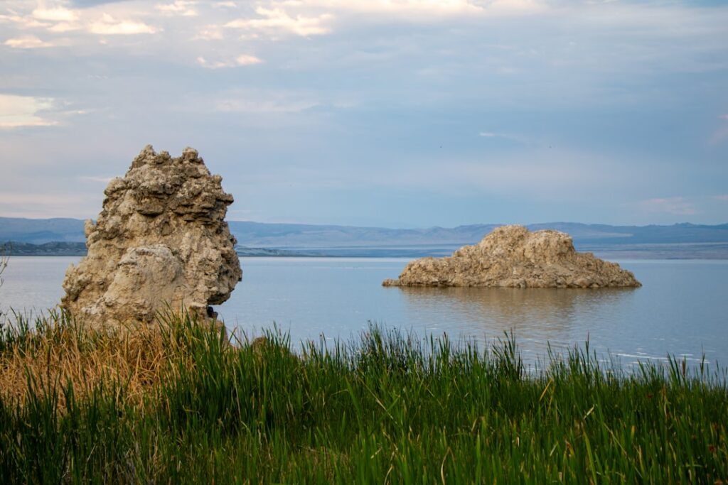 A large rock sitting on top of a lush green field