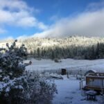 a snow covered field with trees and a fence