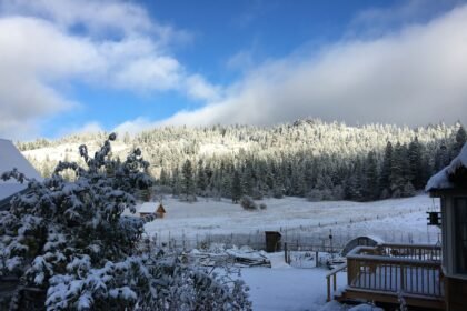 a snow covered field with trees and a fence