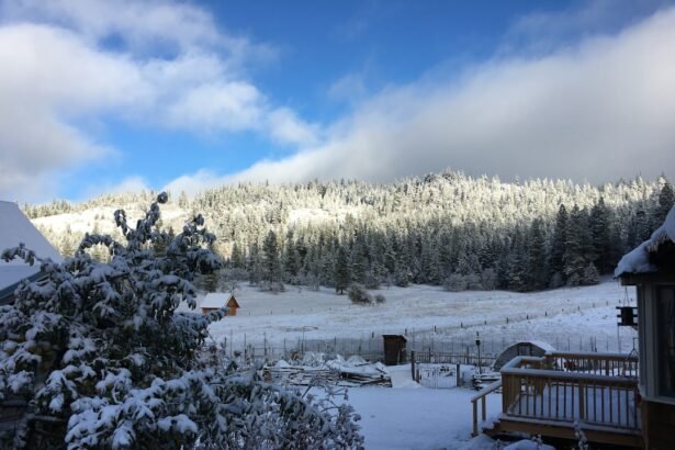 a snow covered field with trees and a fence