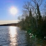 a body of water with trees on the side
